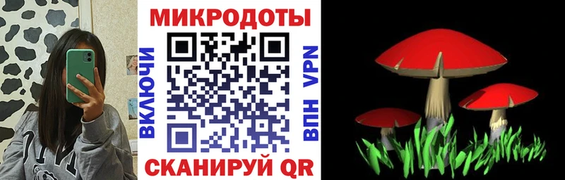 Галлюциногенные грибы Psilocybe  Белоярский 